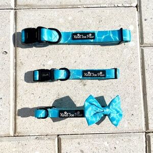 Brand New Dog Collar - Kind Ice Paw Pool Paw-ty design